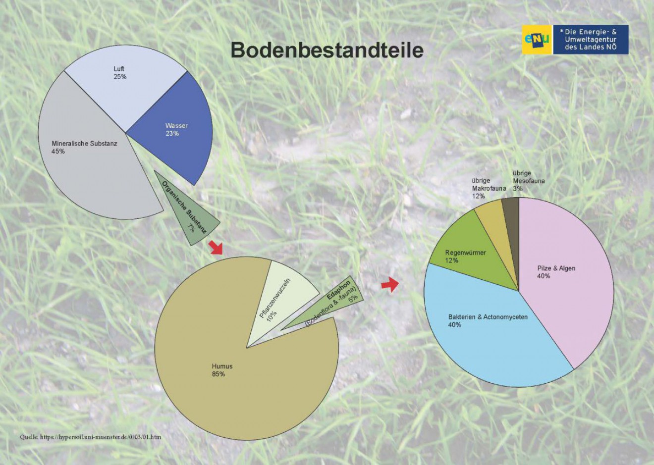 Boden Im Unterricht | ENu Umweltbildung