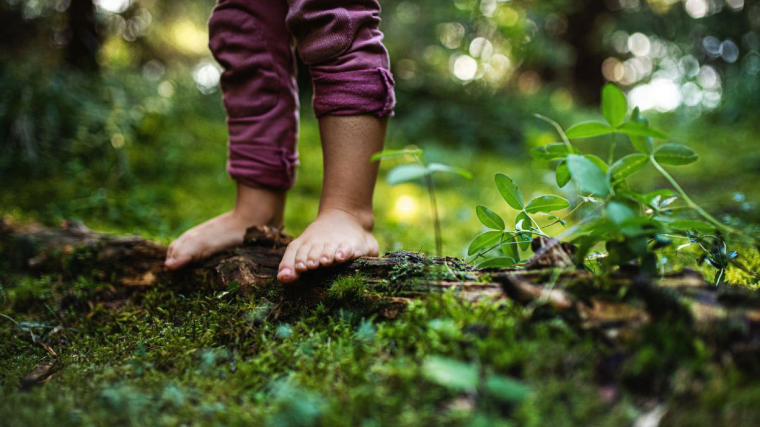 Kinderfüße barfuß im Wald